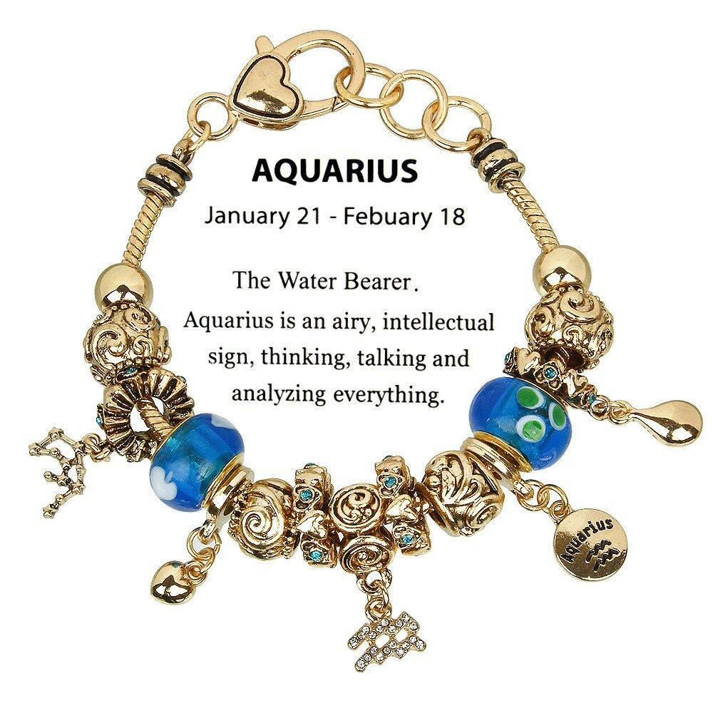 Celestial Bracelet Birthstone Birthday Gift AQUARIUS Gold January February Sign - PalmTreeSky