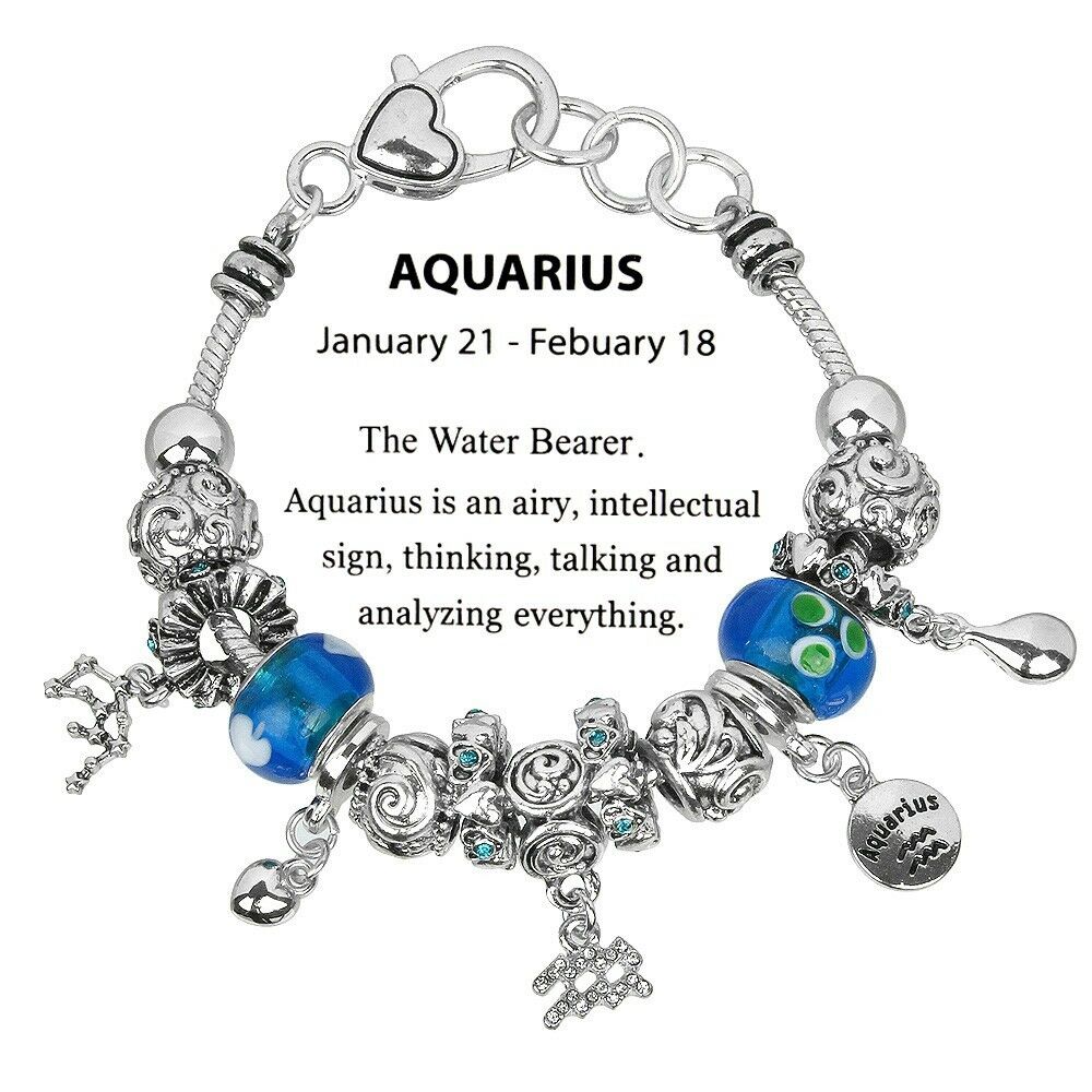 Celestial Bracelet Birthstone Birthday Gift AQUARIUS Silver January February - PalmTreeSky