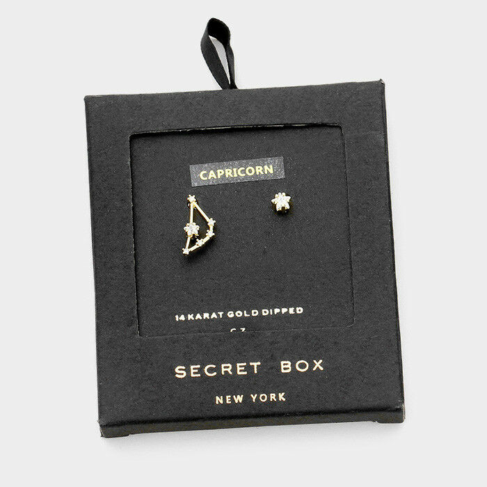 Secret Box Star Earrings Gift Tiny Zodiac CAPRICORN Sign CZ Moon 14K GOLD DIPPED - PalmTreeSky