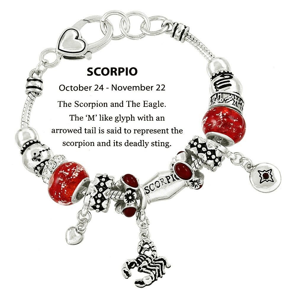 Horoscope Birthstone Bracelet Birthday Gift Scorpio SILVER October November Sign - PalmTreeSky